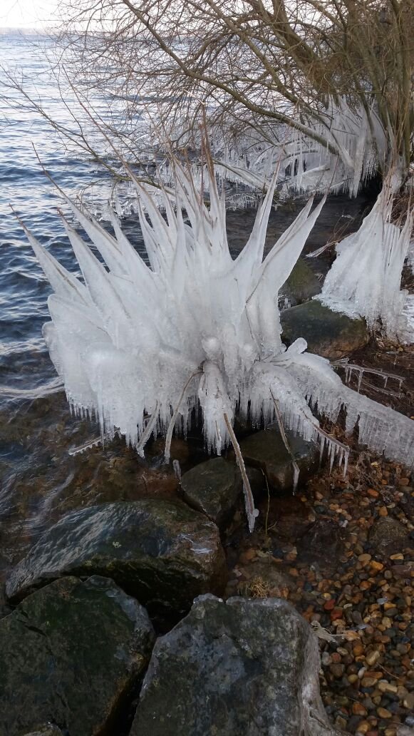 Frost-See und Wind....kommt sowas bei raus