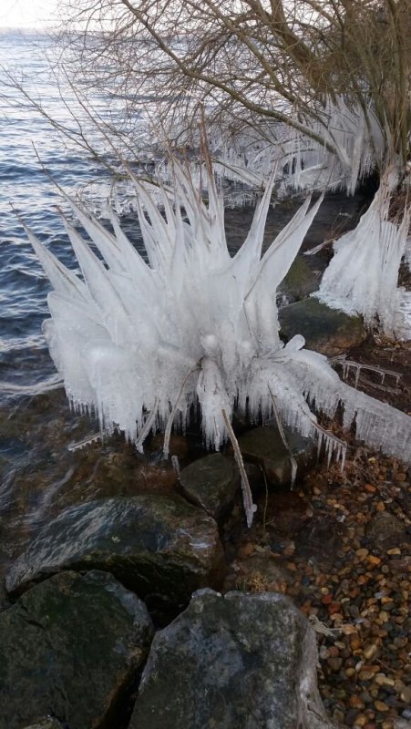 Mehr Informationen zu "Frost-See und Wind....kommt sowas bei raus"