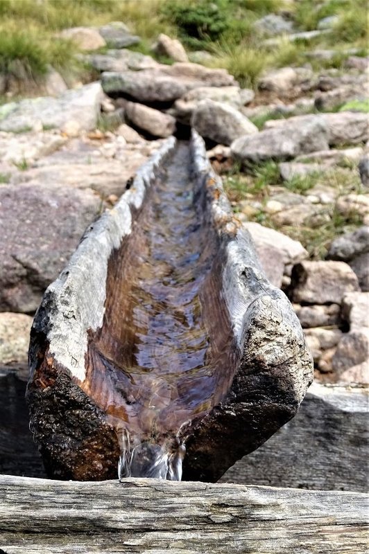 Mehr Informationen zu "Wasser - Natur pur"