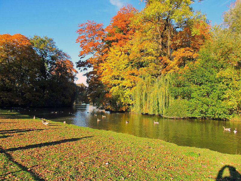 Mehr Informationen zu "Herbstlich"