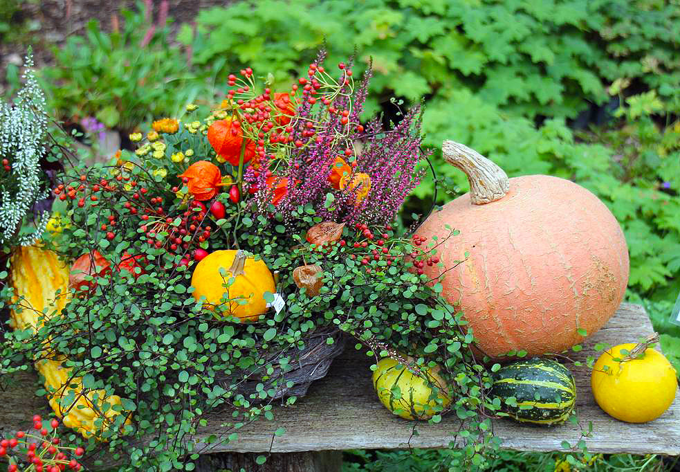 Herbstdeko