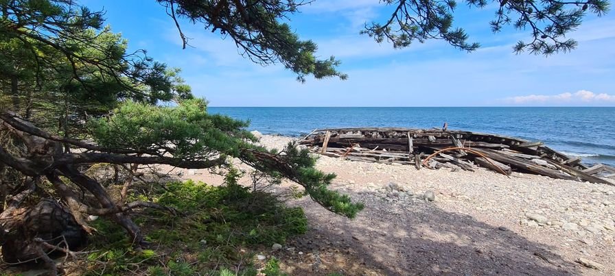 Wrack auf Öland