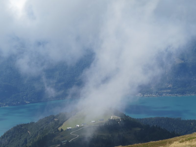 Mehr Informationen zu "Nebel am Schafberg"