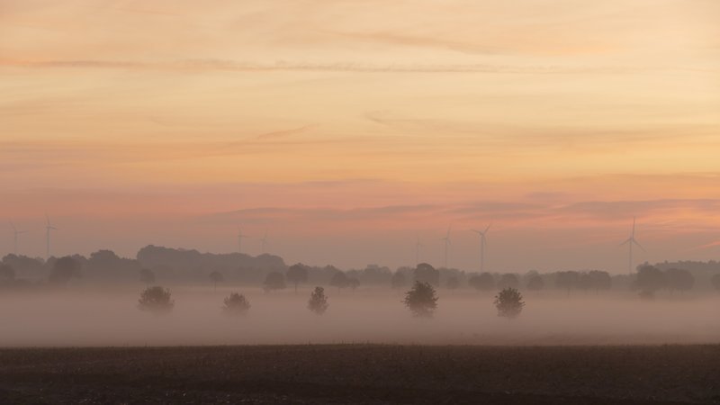 Mehr Informationen zu "Morgennebel im November"