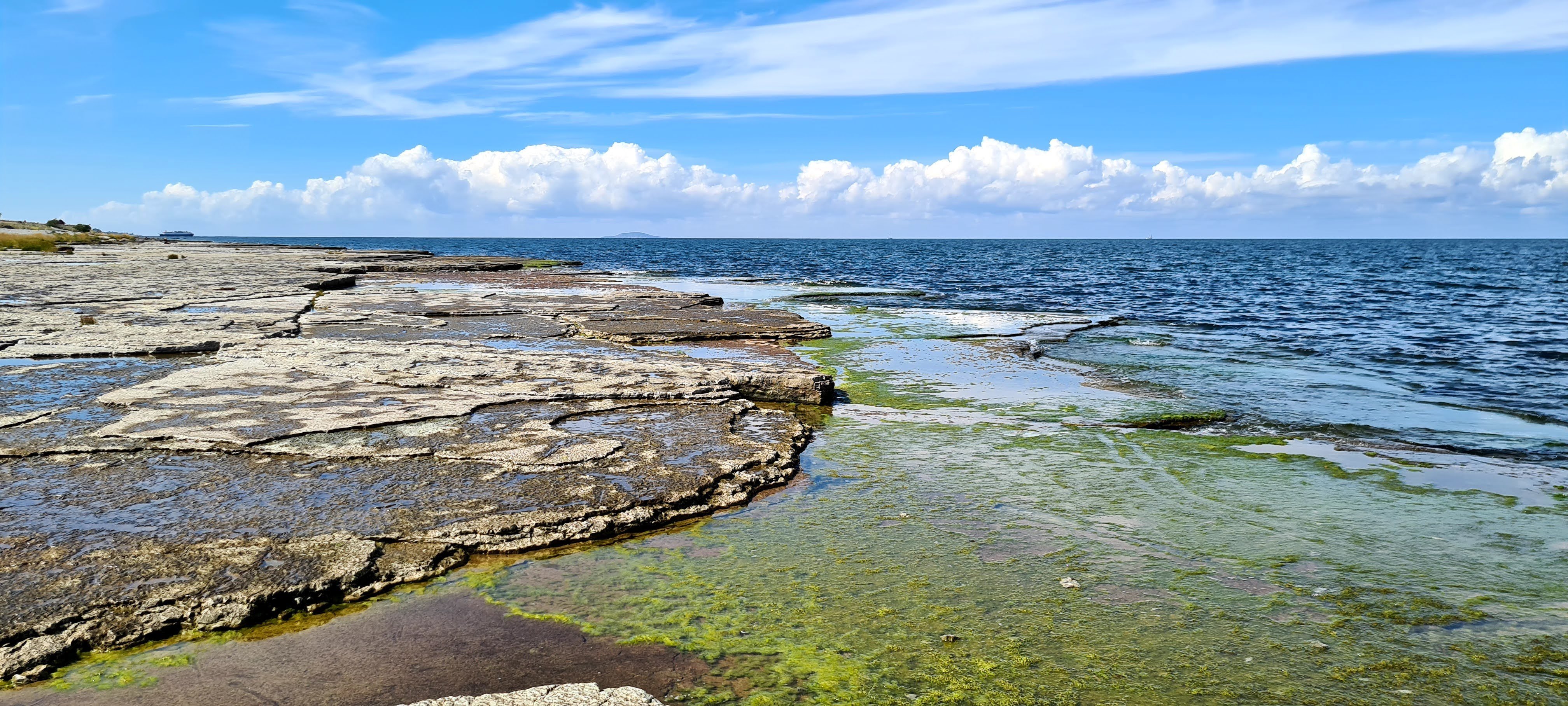 Neptunis Åkrar