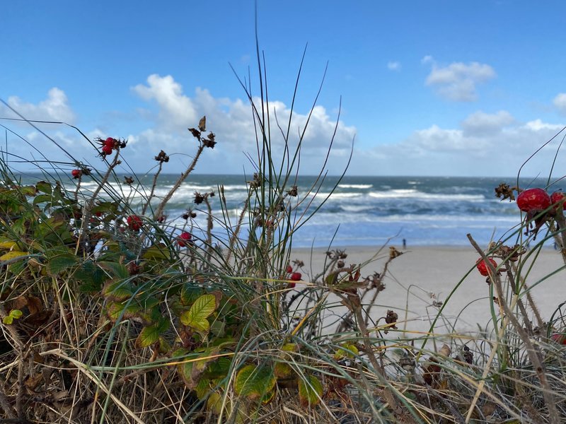 Mehr Informationen zu "Wohlfühlen am Meer"