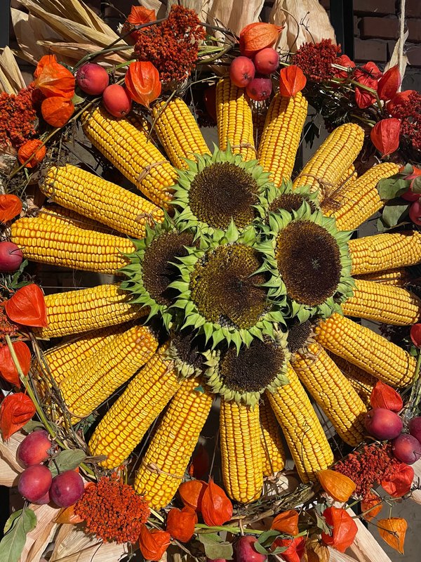 Mehr Informationen zu "Goldener Oktober"