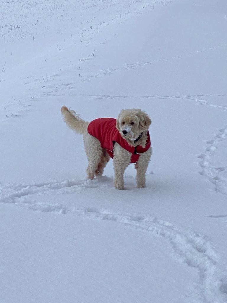 Spuren im Schnee