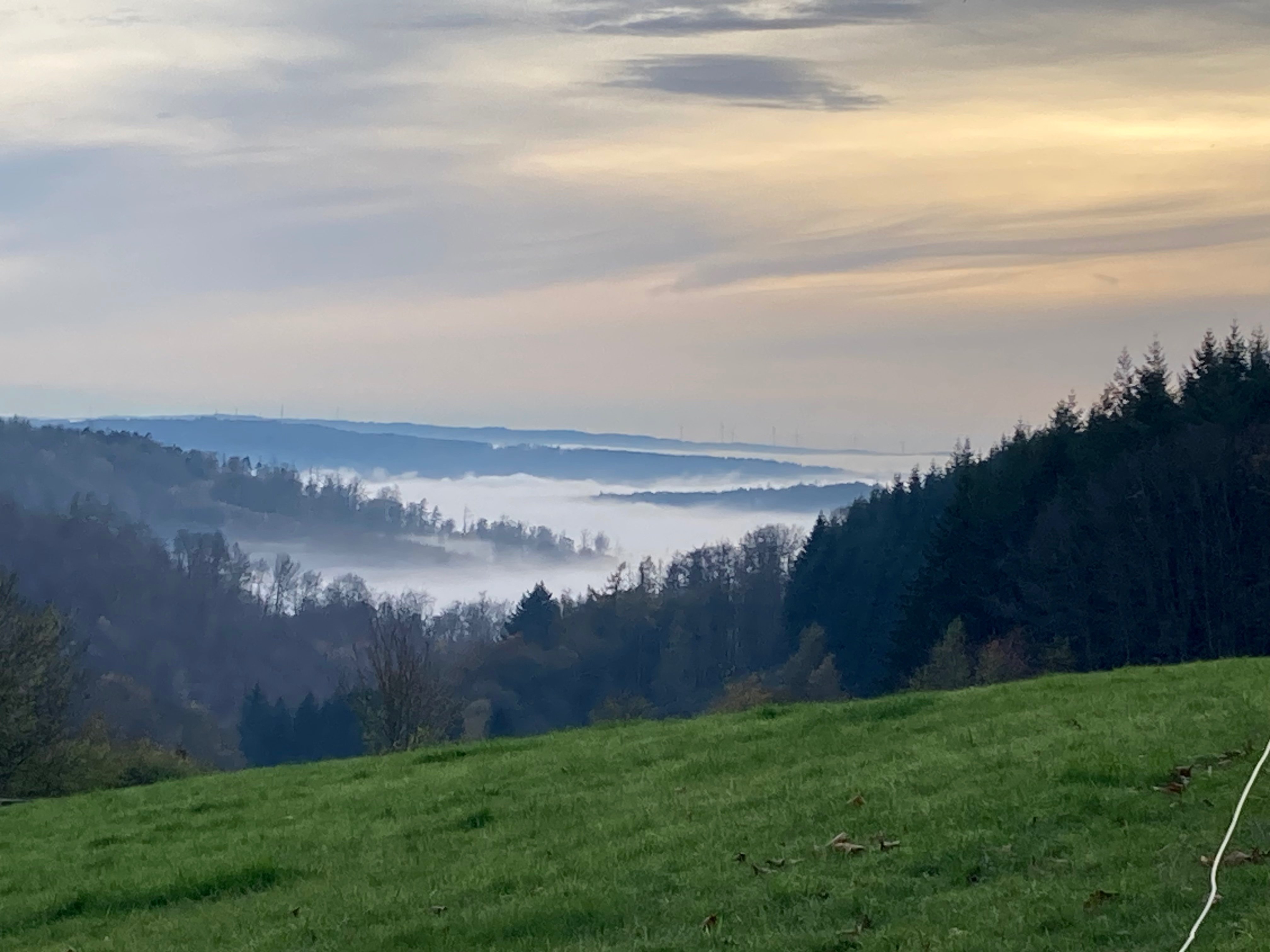 Nebelsee im Tal