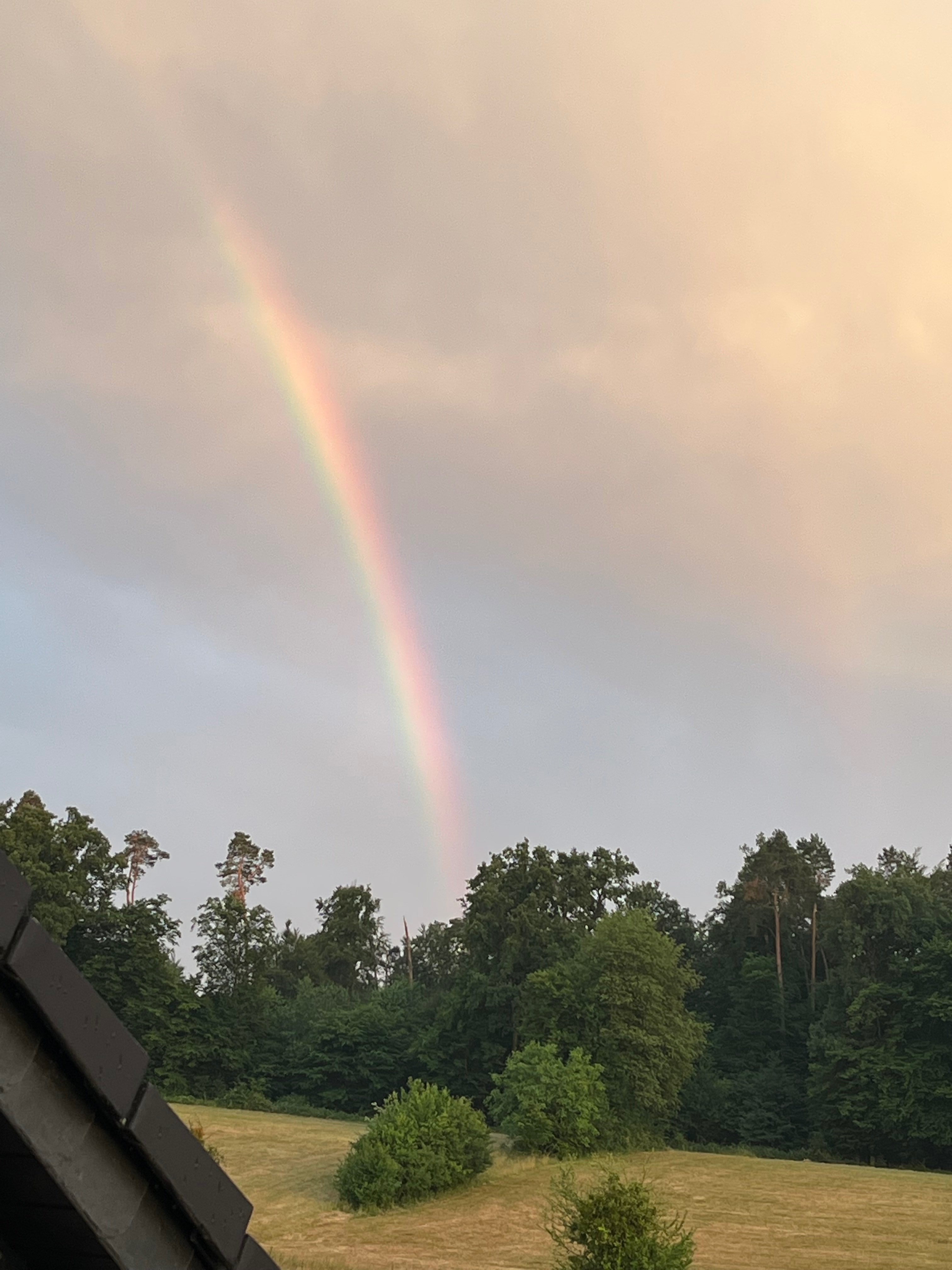 Regenbogen