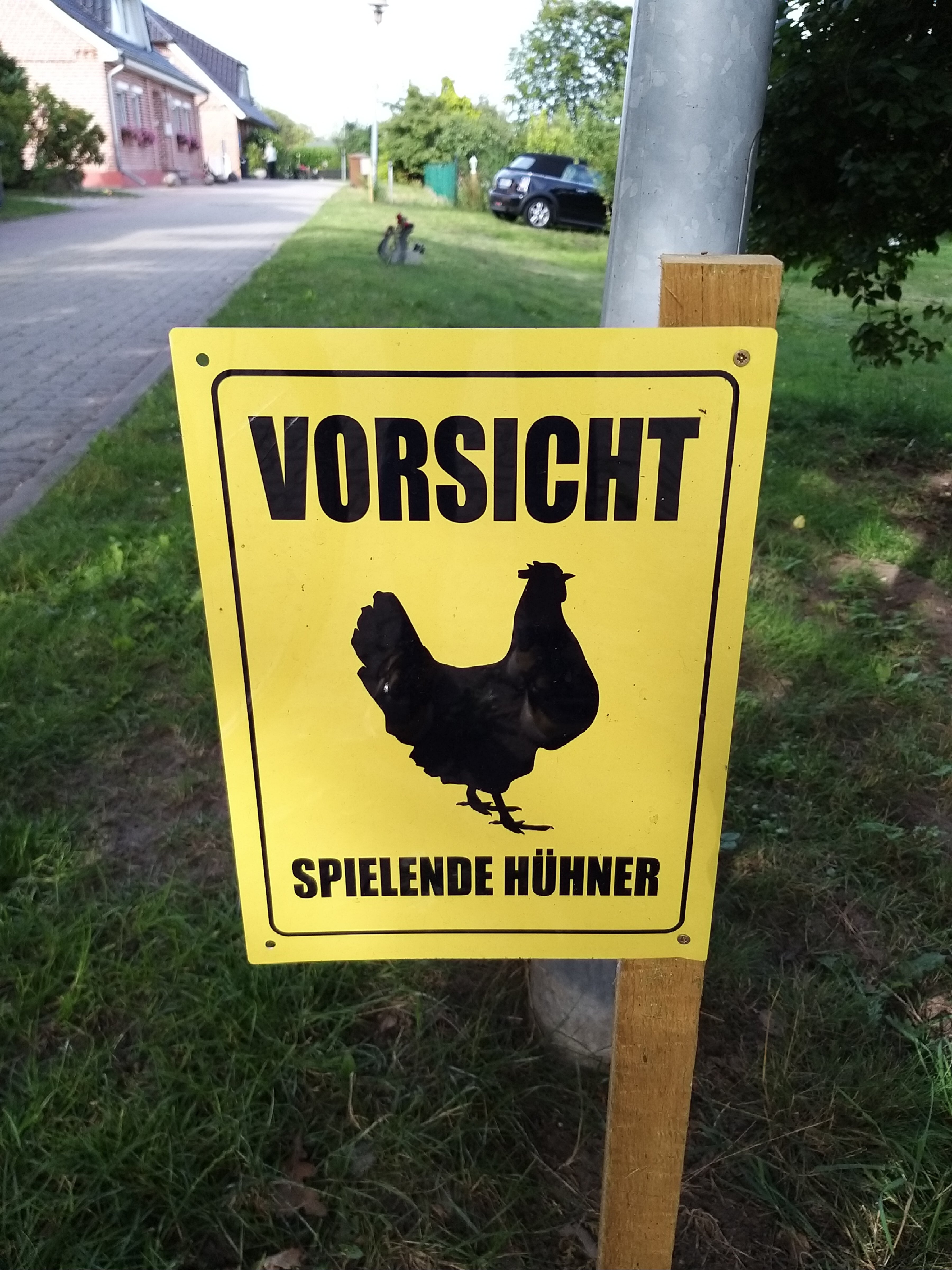 Spielende Hühner