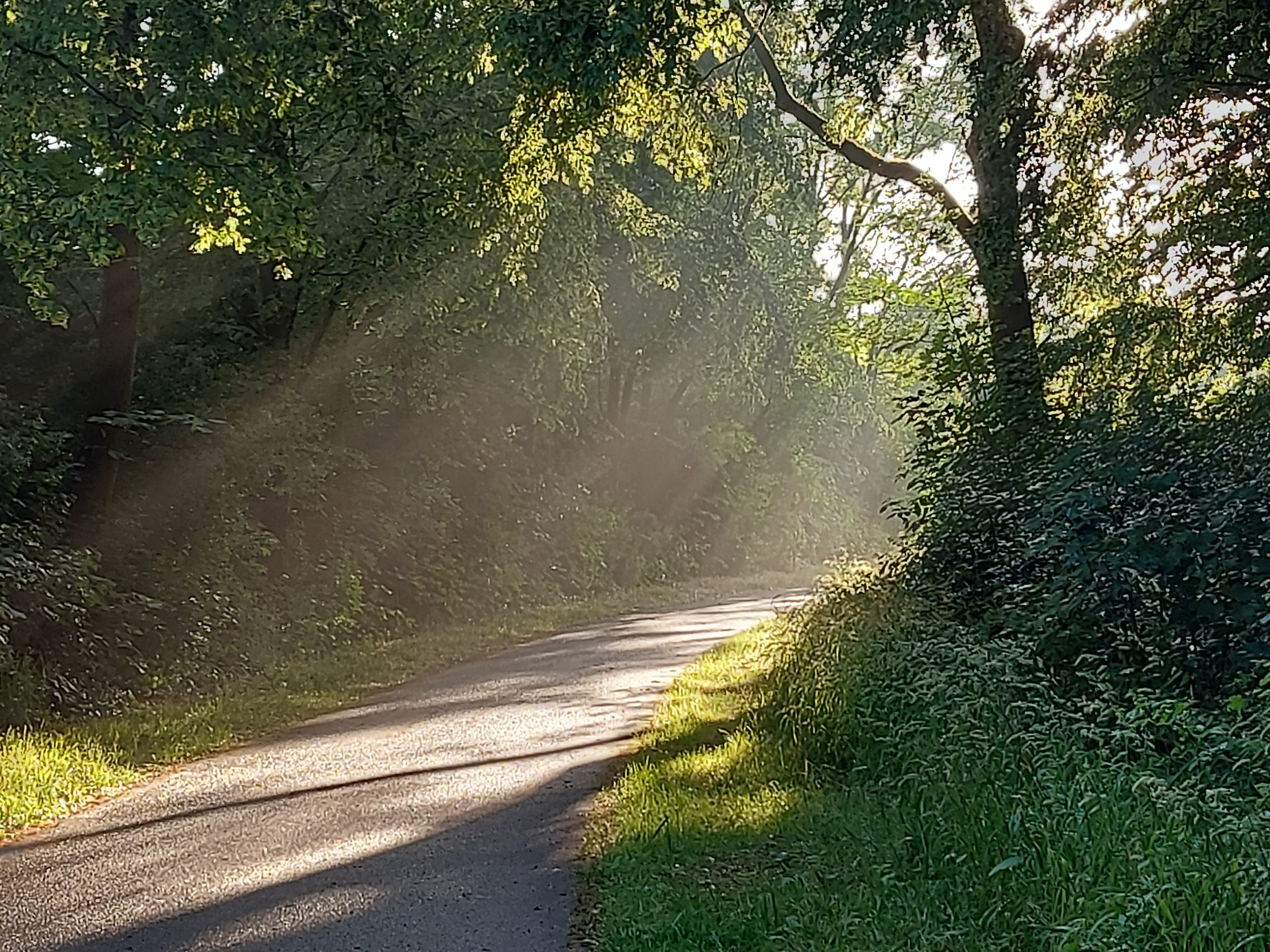 Sonnenstrahlen