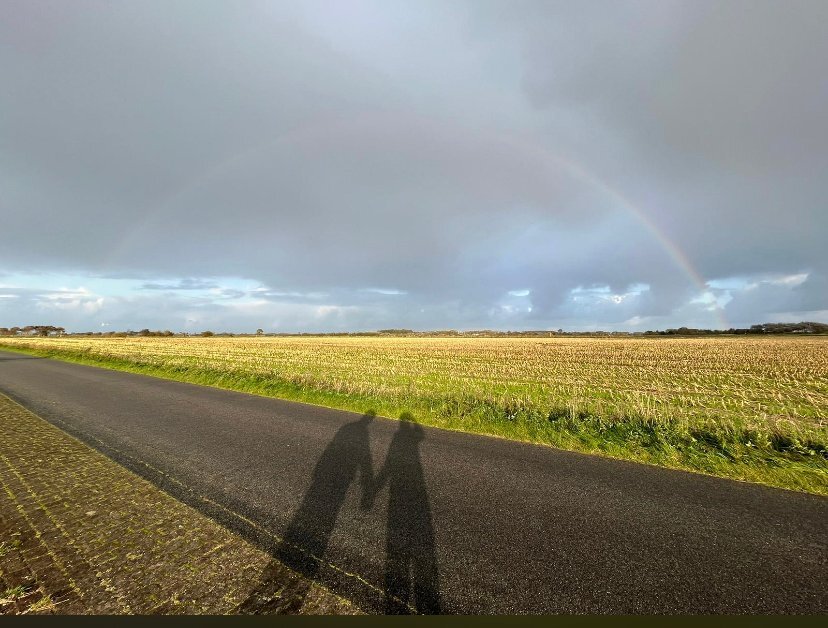 Einheit/ Einigkeit unter dem Regenbogen