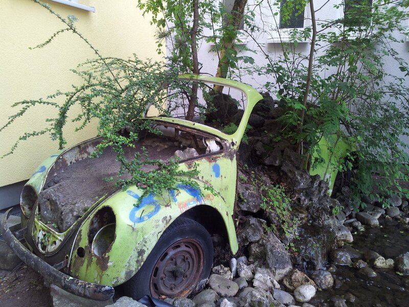 Mehr Informationen zu "Natur trifft auf VW Käfer"