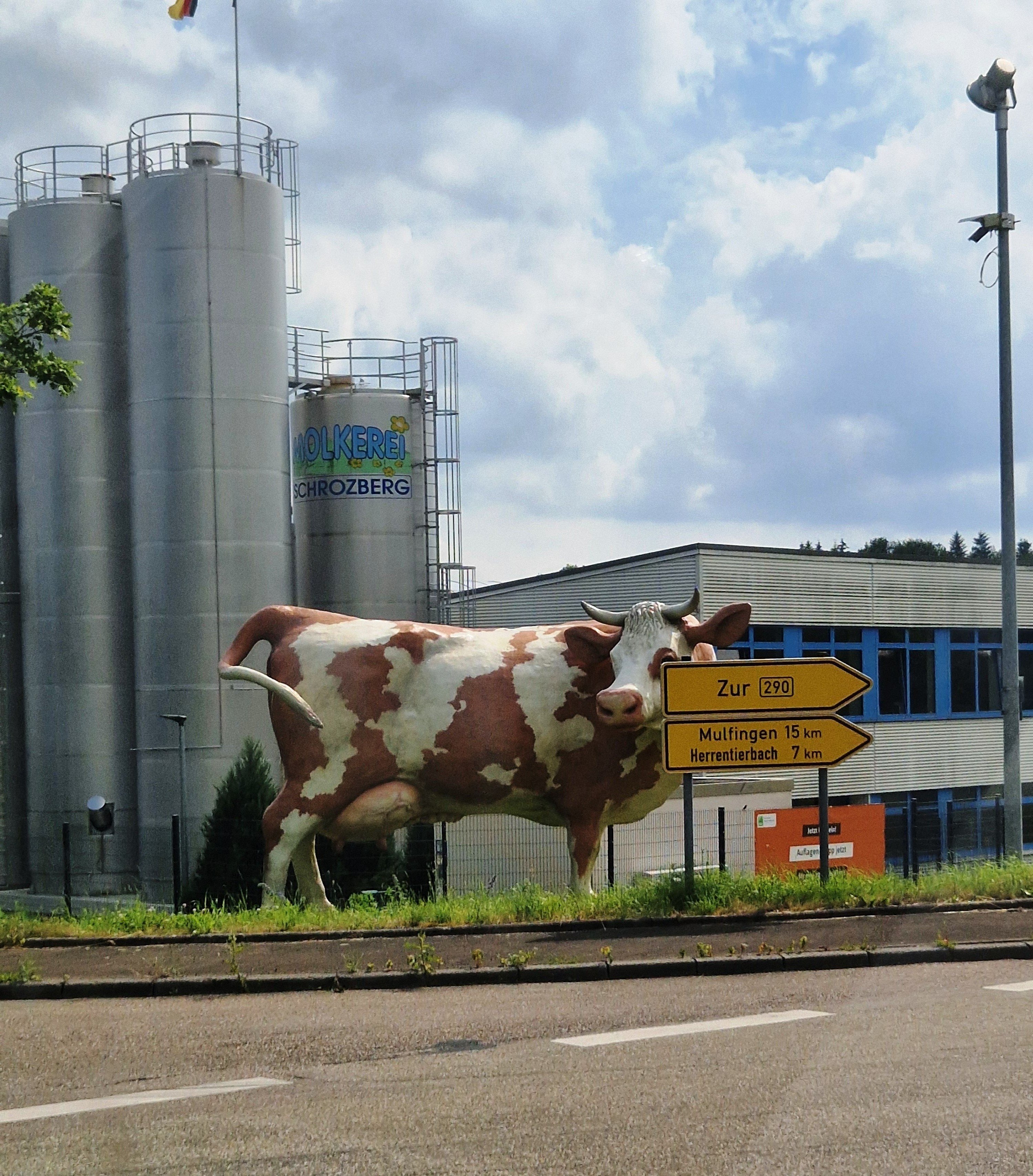 Viehzucht-Region bei Schwäbisch Hall