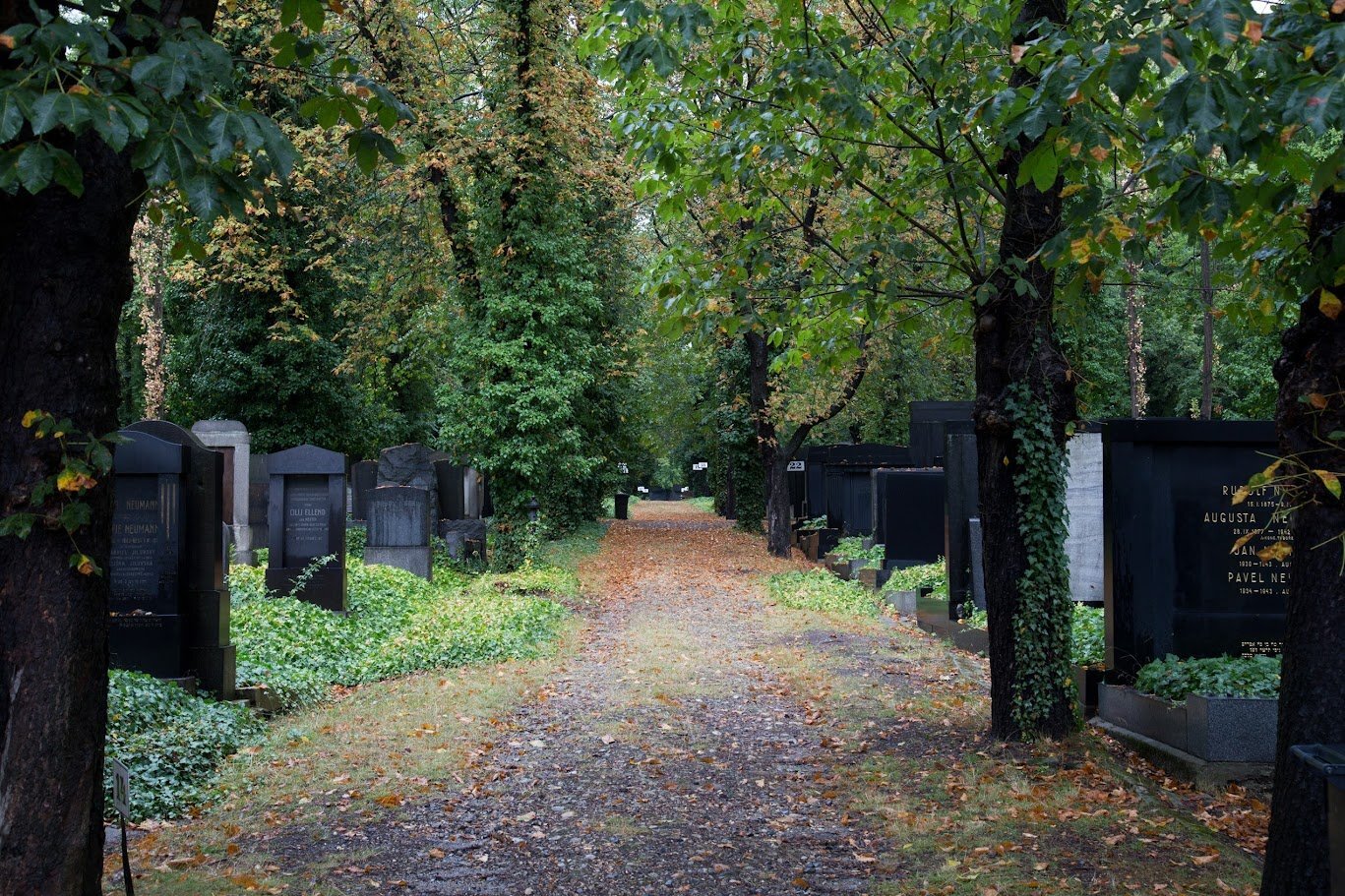 Friedhof in Prag