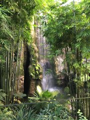 Wasserfall im Dschungel