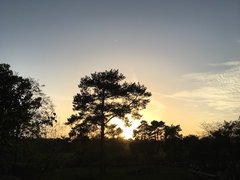 Abenddämmerung im Zoo